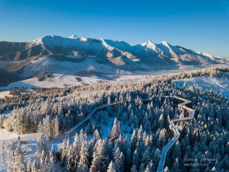 Chodník korunami stromov nad Bachledovov dolinou