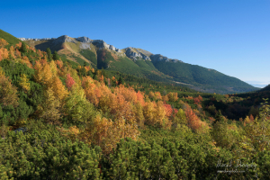 Jeseň pod Belianskymi Tatrami