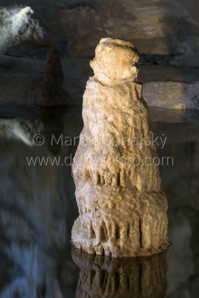 Stalagmit v Hudobnej sieni Stalagmit v Hudobnej sieni