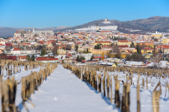 Levoča, v pozadí Mariánska hora