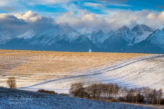 Tatry od Vrbovského rybníka