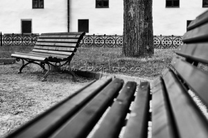 Park s lavičkami v Levoči