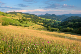 Pieniny z Lesníckeho sedla