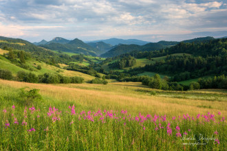 Pieniny z Lesníckeho sedla