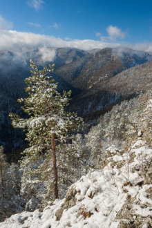 Vyhliadka na Čertovej Sihoti
