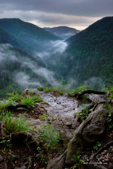 Dolinou hmla sa tiahne