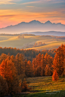 Tatry z Levočských vrchov