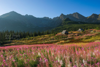 Hala Gasienicova, PL Tatry